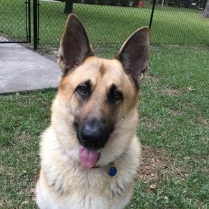 Meet your Posher, Carolyn